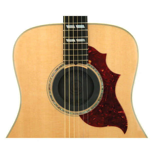 Planet Waves Screeching Halt - Image 3