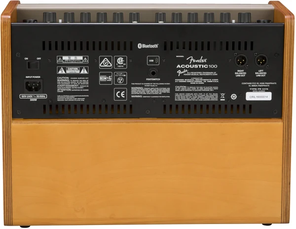 Fender Acoustic 100 - Image 3