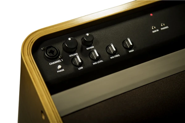 Fender Acoustic Pro - Image 4