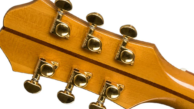 Epiphone EJ-200 Coupe - Image 6