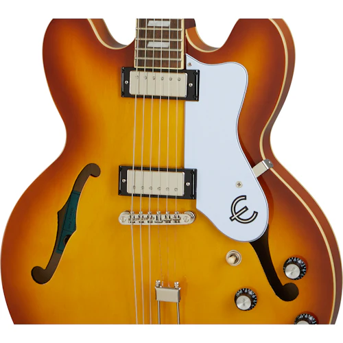 Epiphone Riviera - Image 3