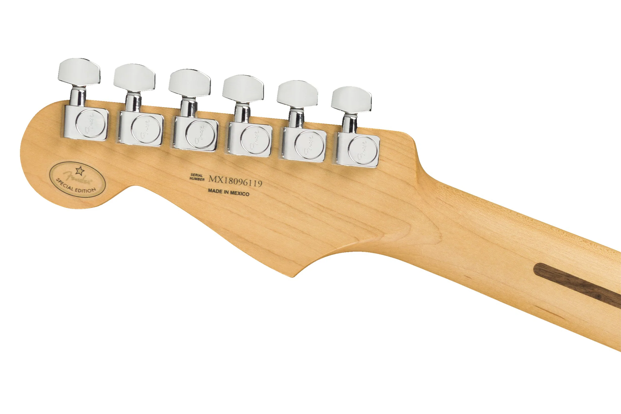 Fender Limited Edition Player Stratocaster Inca Silver - Image 6