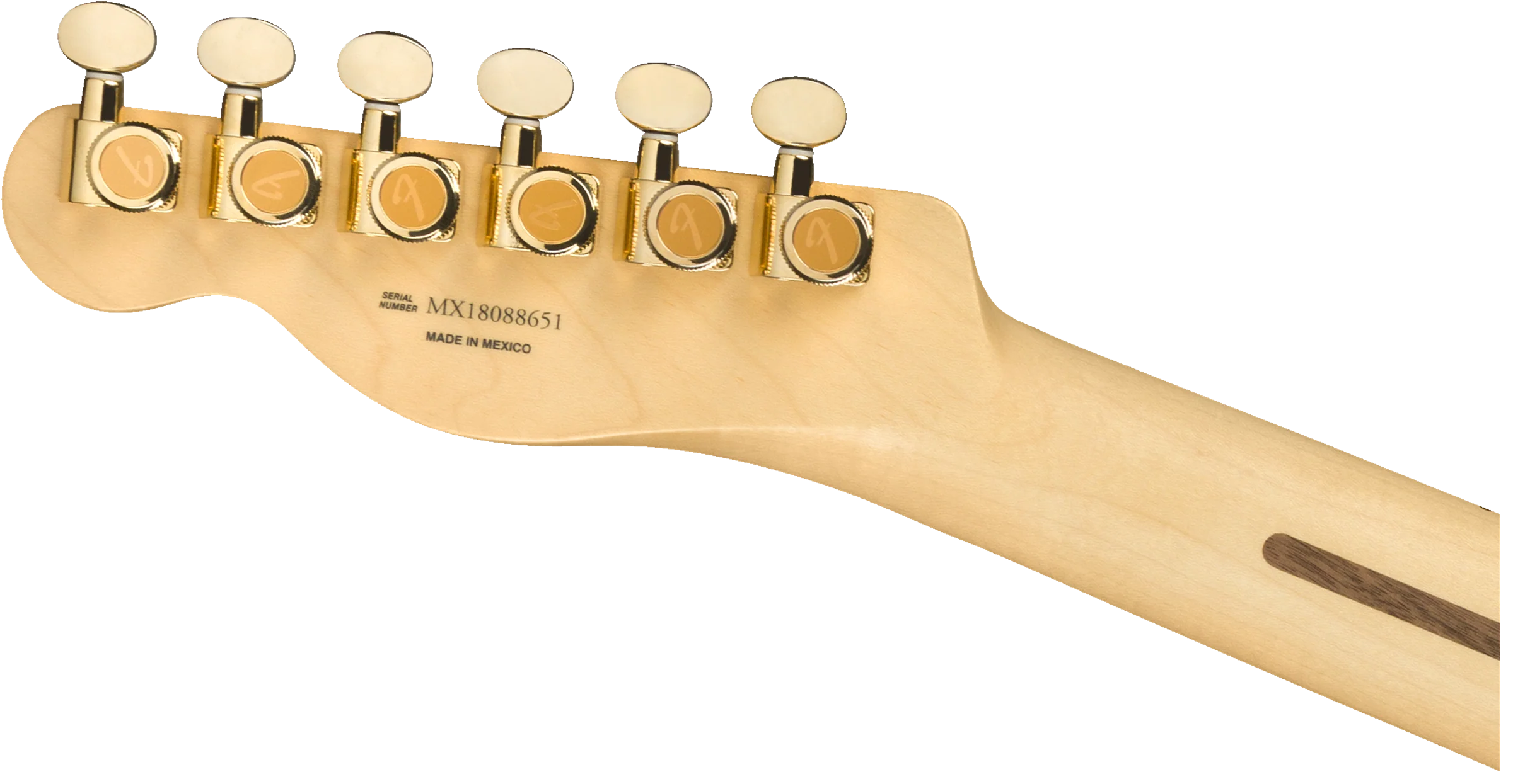 Fender LTD Deluxe Telecaster Thinline - Image 4