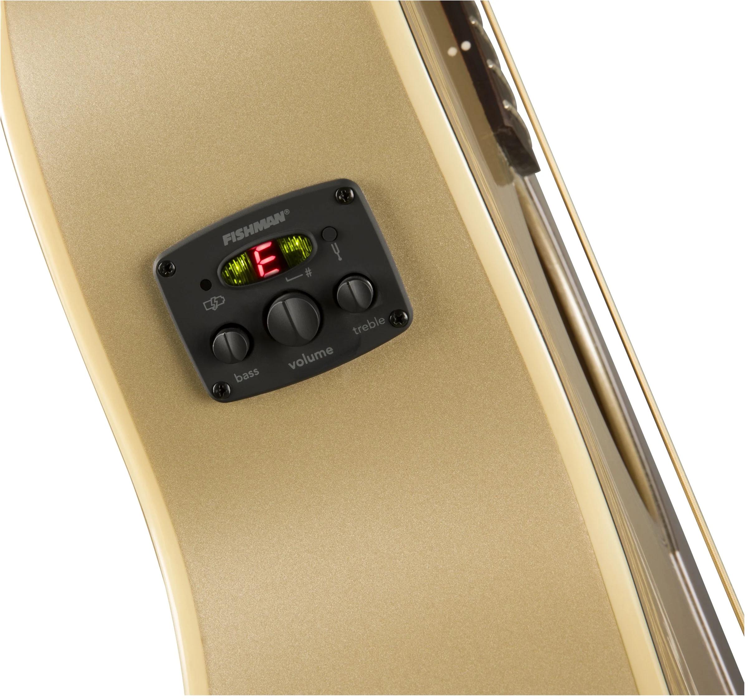 Fender Newporter Player - Image 5