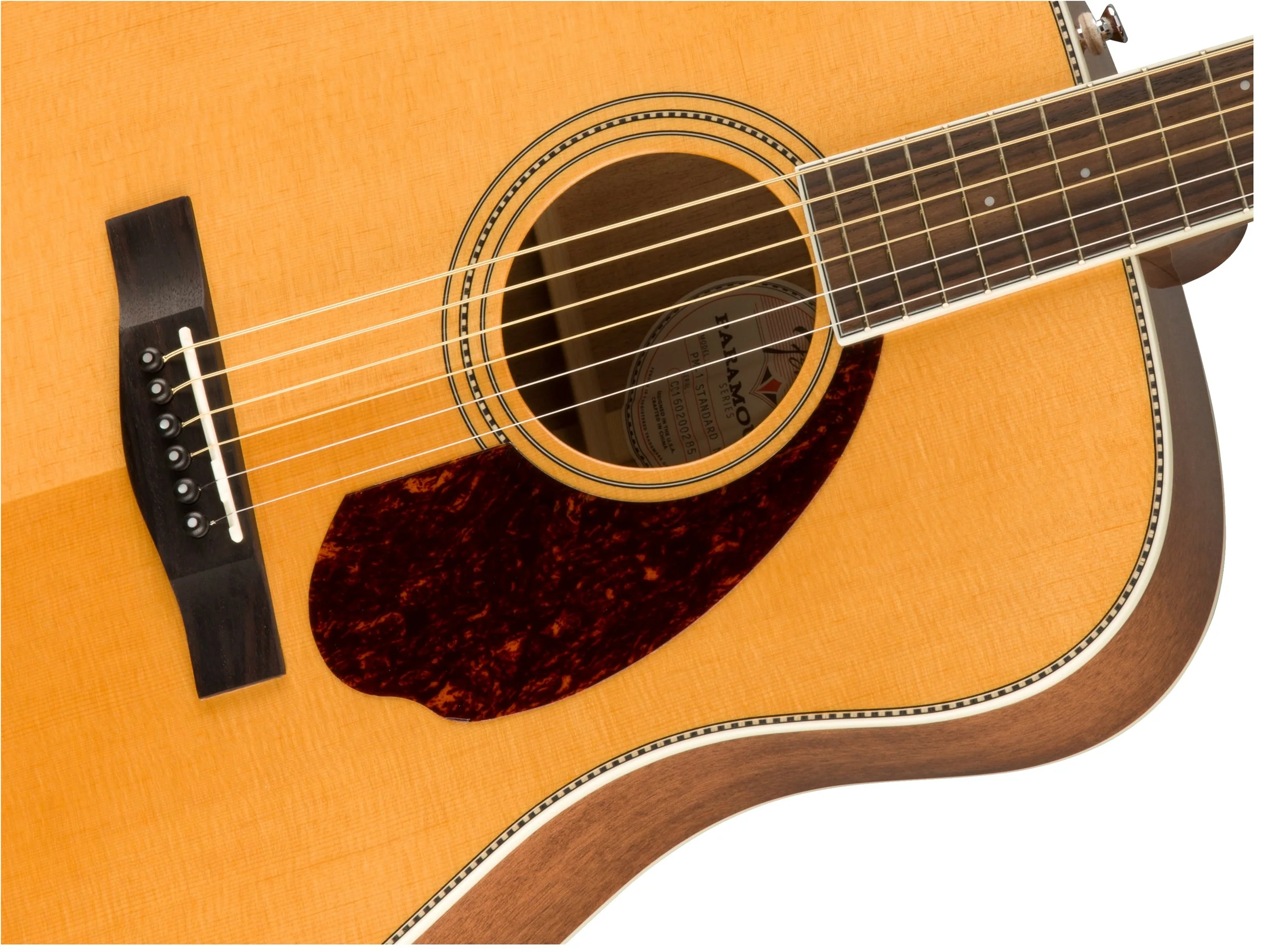 Fender Paramount PM-1 Standard Dreadnought - Image 8