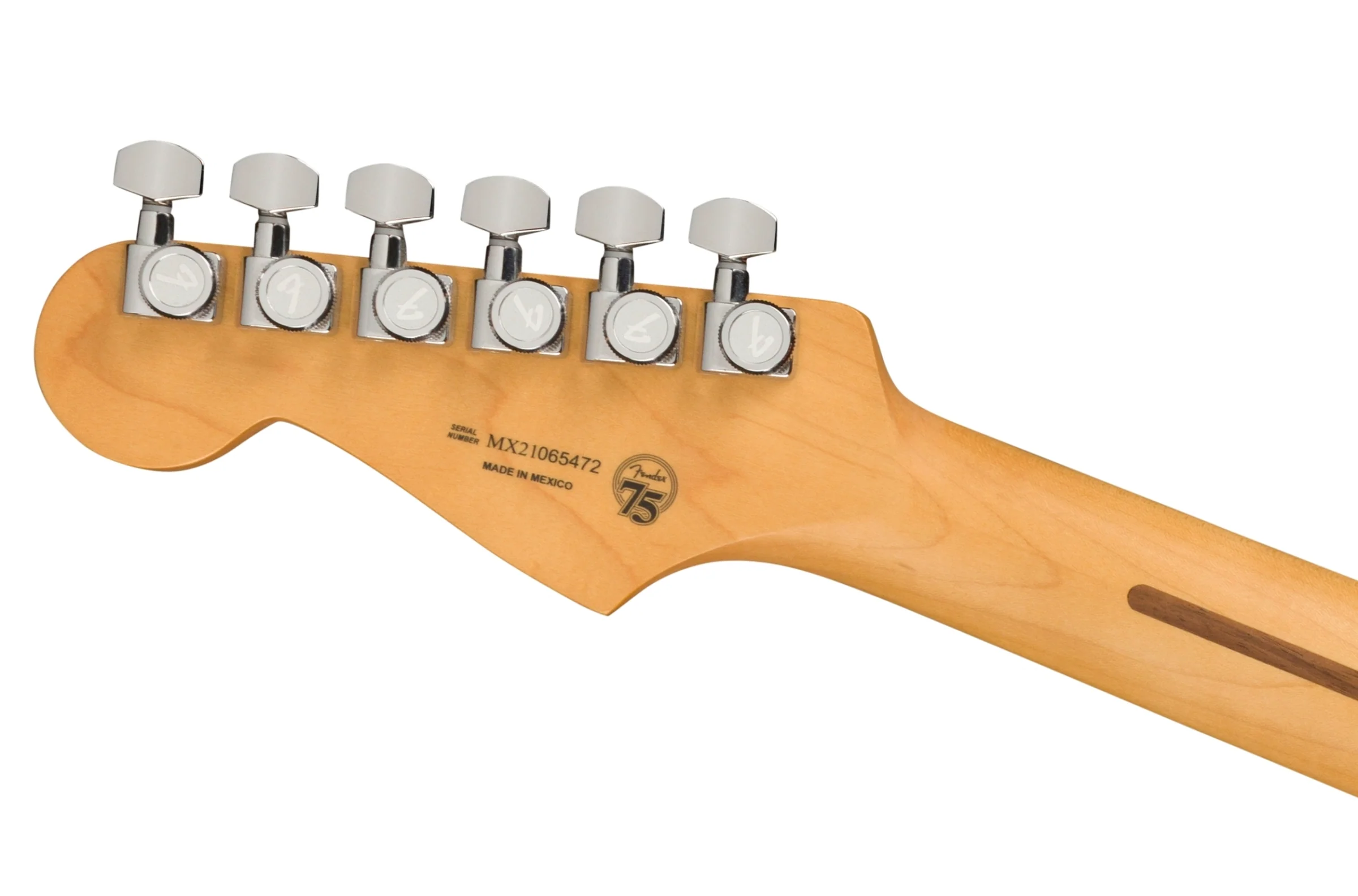 Fender Player Plus Stratocaster - Image 13