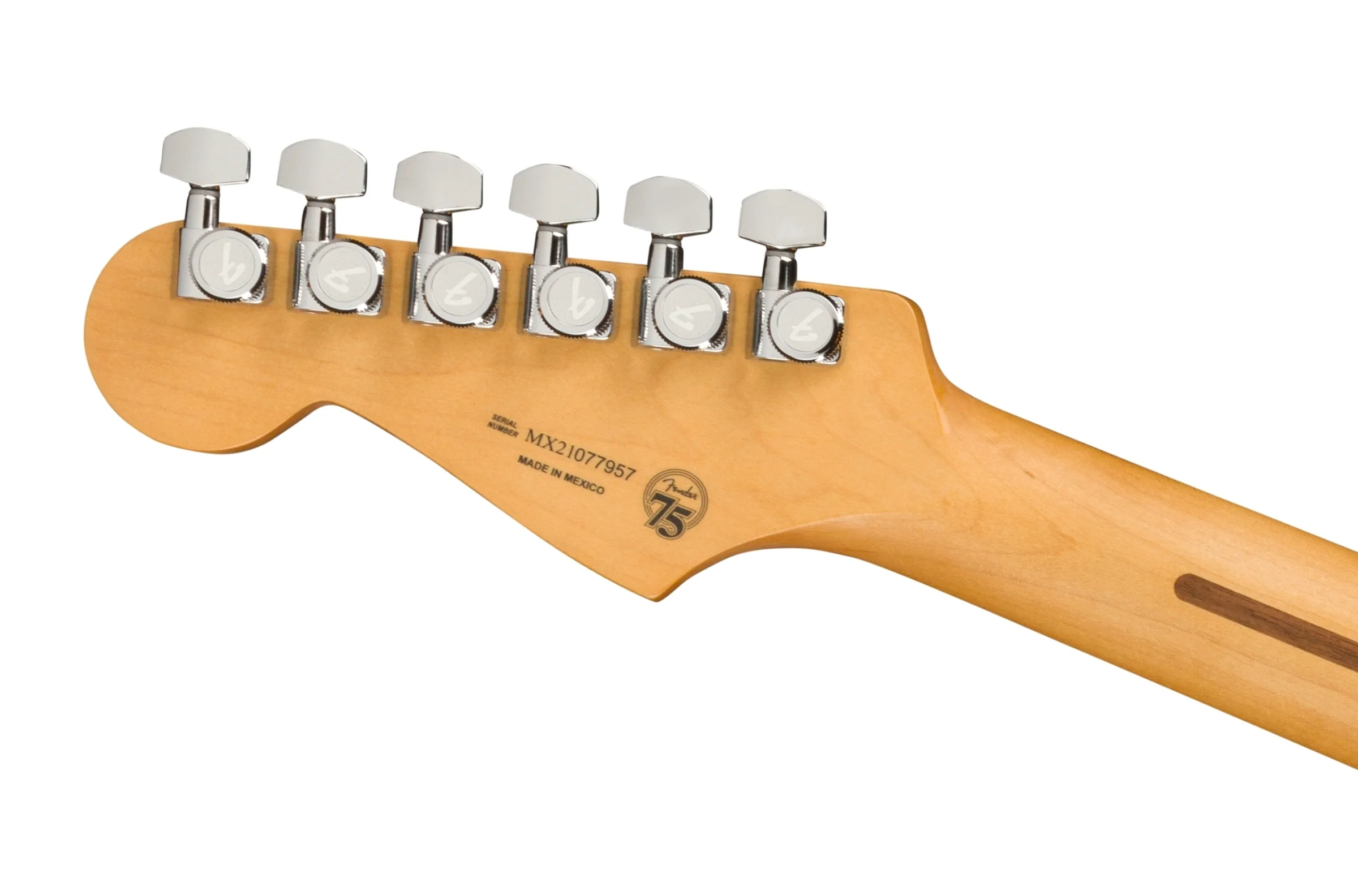 Fender Player Plus Stratocaster - Image 19