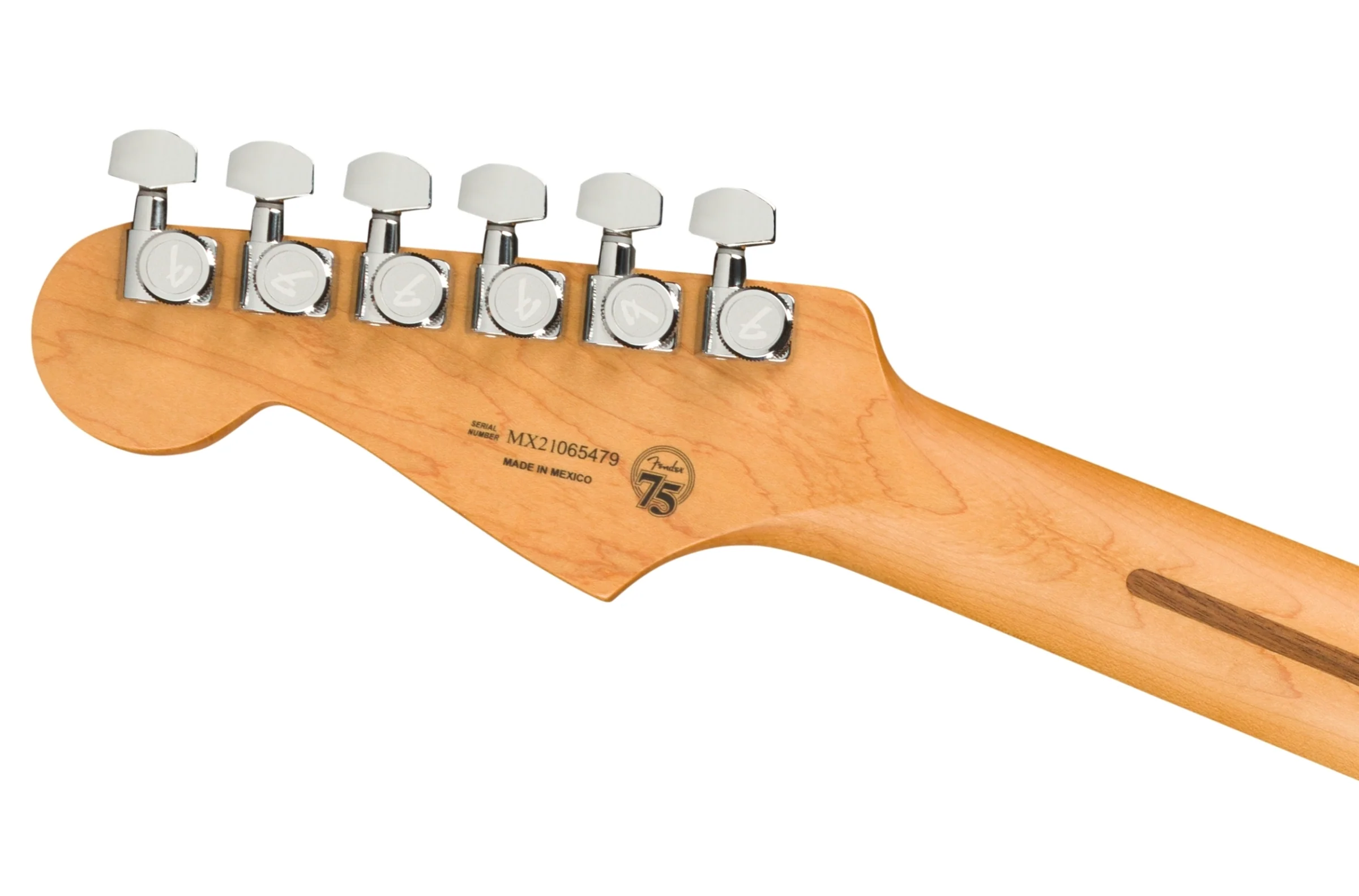 Fender Player Plus Stratocaster - Image 25
