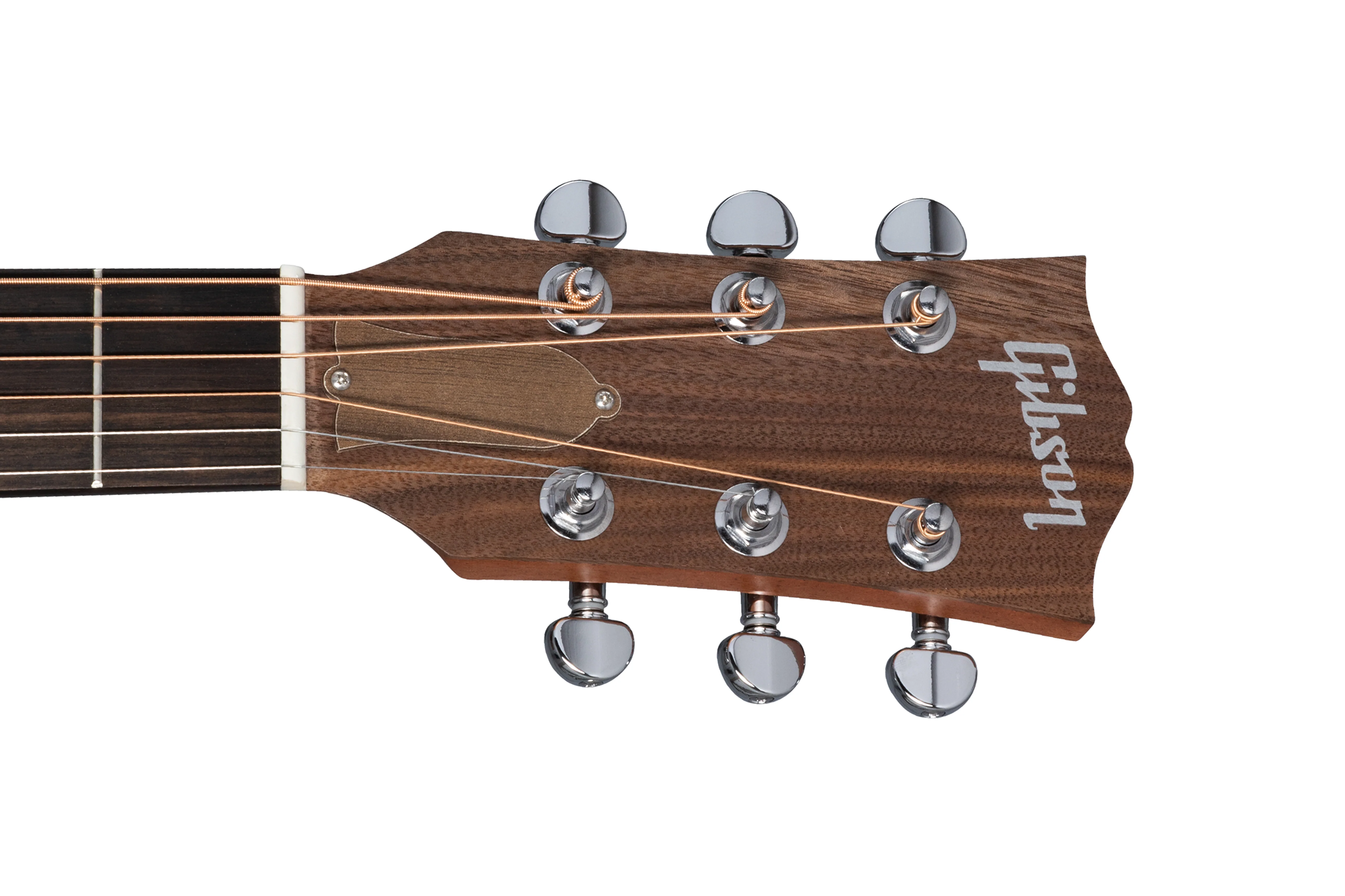 Gibson G-Bird - Image 6