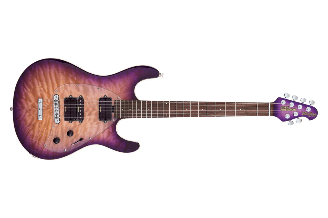Music Man Steve Morse Y2D