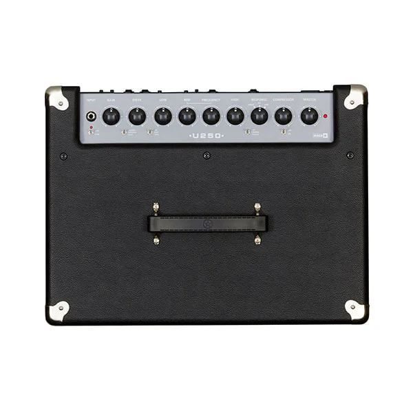 Blackstar Unity Bass 250 - Image 3