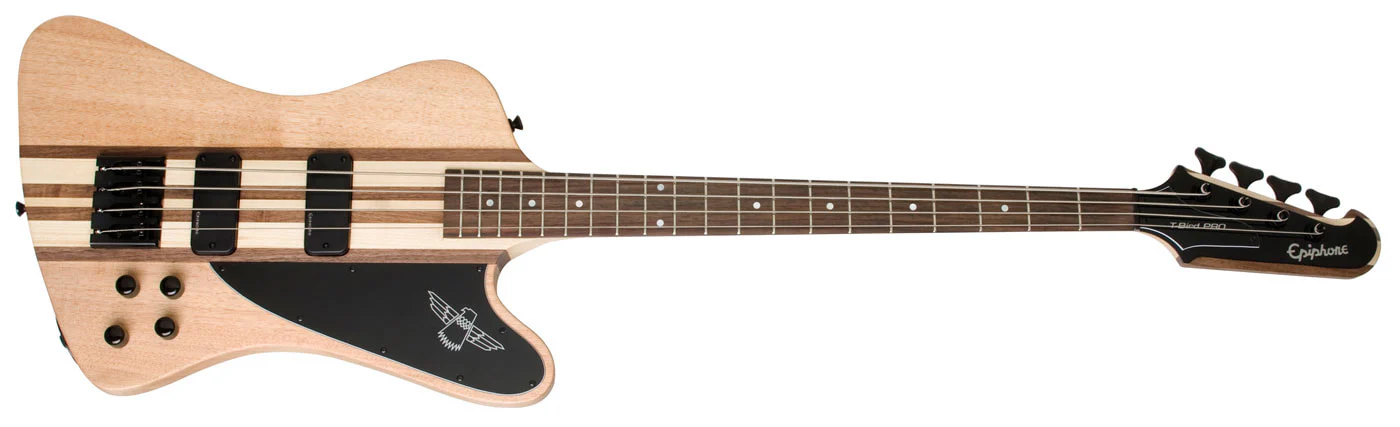 Epiphone Thunderbird PRO-IV Bass - Image 3