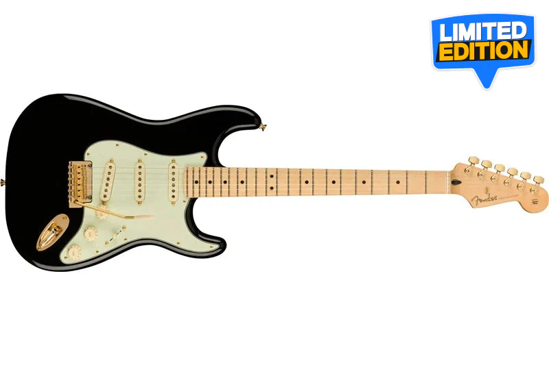 Fender Limited Edition Player Stratocaster Black w/ Gold Hardware