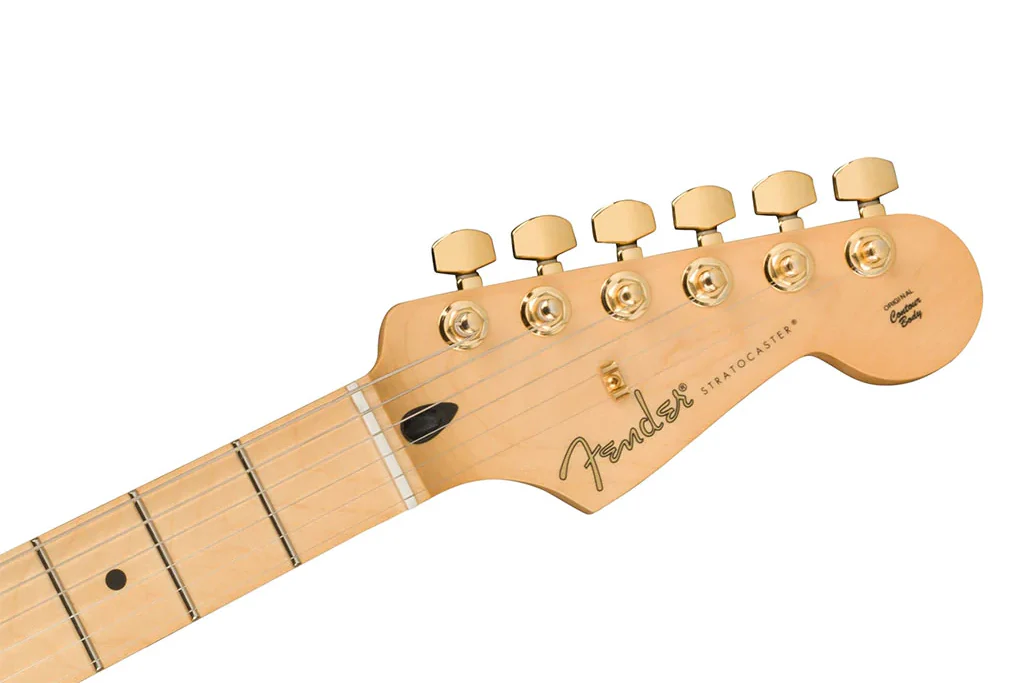 Fender Limited Edition Player Stratocaster Black w/ Gold Hardware - Image 4